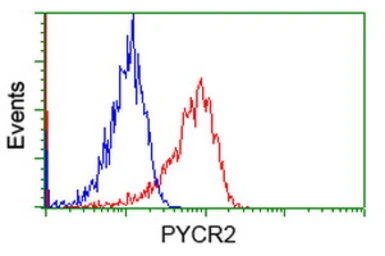 Anti-PYCR2 antibody [4A10] used in Flow cytometry (FCM). GTX83752
