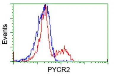 Anti-PYCR2 antibody [4A10] used in Flow cytometry (FCM). GTX83752