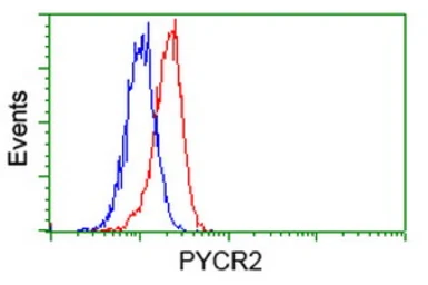 Anti-PYCR2 antibody [2A5] used in Flow cytometry (FCM). GTX83753