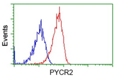 Anti-PYCR2 antibody [2A5] used in Flow cytometry (FCM). GTX83753