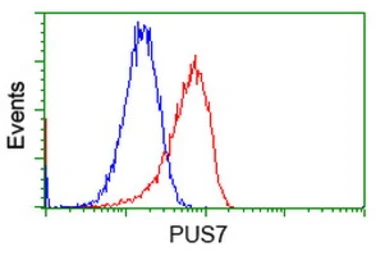 Anti-PUS7 antibody [4H5] used in Flow cytometry (FCM). GTX83756