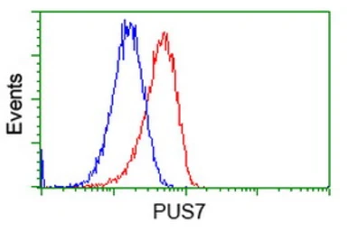 Anti-PUS7 antibody [4C6] used in Flow cytometry (FCM). GTX83757