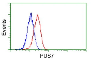Anti-PUS7 antibody [4C6] used in Flow cytometry (FCM). GTX83757