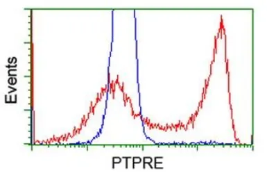Anti-PTPRE antibody [2A9] used in Flow cytometry (FCM). GTX83761