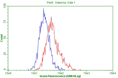 Anti-PTPRE antibody [4B2] used in Flow cytometry (FCM). GTX83763