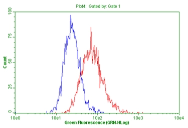 Anti-PTPRE antibody [3D4] used in Flow cytometry (FCM). GTX83767