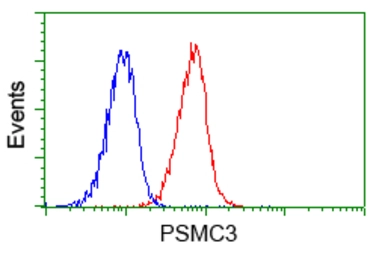 Anti-PSMC3 antibody [9F3] used in Flow cytometry (FCM). GTX83778