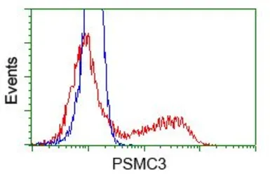 Anti-PSMC3 antibody [9F3] used in Flow cytometry (FCM). GTX83778