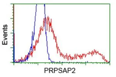 Anti-PRPSAP2 antibody [1E3] used in Flow cytometry (FCM). GTX83790