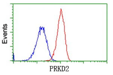Anti-PKD2 antibody [3B12] used in Flow cytometry (FCM). GTX83819