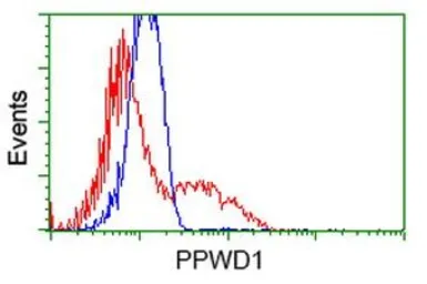 Anti-PPWD1 antibody [1B8] used in Flow cytometry (FCM). GTX83831
