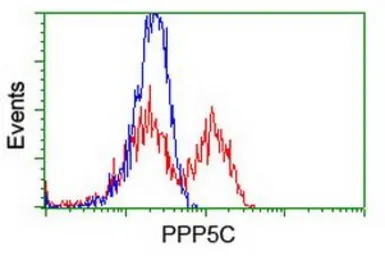 Anti-PPP5C antibody [2E12] used in Flow cytometry (FCM). GTX83832