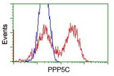 Anti-PPP5C antibody [6F1] used in Flow cytometry (FCM). GTX83838