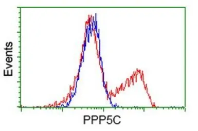 Anti-PPP5C antibody [5G5] used in Flow cytometry (FCM). GTX83840