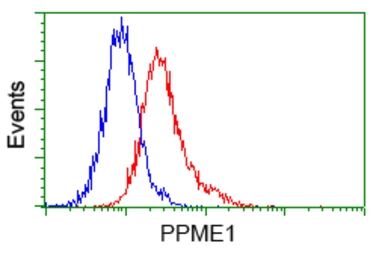 Anti-PPME1 antibody [7F12] used in Flow cytometry (FCM). GTX83847