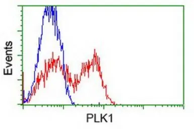Anti-PLK1 antibody [3F12] used in Flow cytometry (FCM). GTX83864