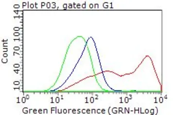 Anti-PLK1 antibody [1D4] used in Flow cytometry (FCM). GTX83865