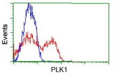 Anti-PLK1 antibody [8C12] used in Flow cytometry (FCM). GTX83866