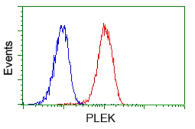 Anti-Pleckstrin antibody [4F10] used in Flow cytometry (FCM). GTX83873