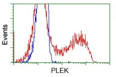 Anti-Pleckstrin antibody [4F10] used in Flow cytometry (FCM). GTX83873