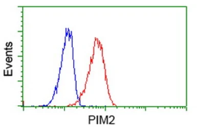 Anti-PIM2 antibody [5D5] used in Flow cytometry (FCM). GTX83887
