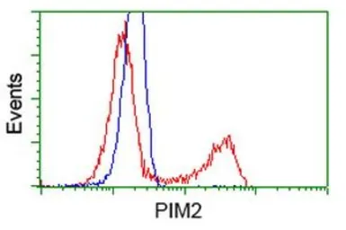 Anti-PIM2 antibody [5D5] used in Flow cytometry (FCM). GTX83887