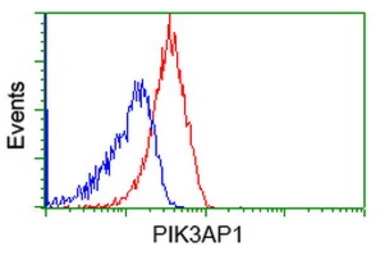Anti-PIK3AP1 antibody [6H6] used in Flow cytometry (FCM). GTX83896