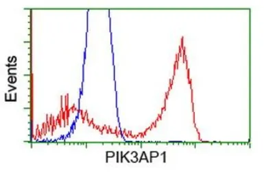 Anti-PIK3AP1 antibody [6H6] used in Flow cytometry (FCM). GTX83896