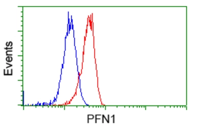 Anti-Profilin 1 antibody [2D2] used in Flow cytometry (FCM). GTX83902
