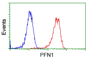 Anti-Profilin 1 antibody [2D2] used in Flow cytometry (FCM). GTX83902