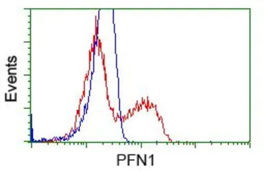 Anti-Profilin 1 antibody [2D2] used in Flow cytometry (FCM). GTX83902