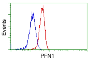 Anti-Profilin 1 antibody [1D5] used in Flow cytometry (FCM). GTX83903