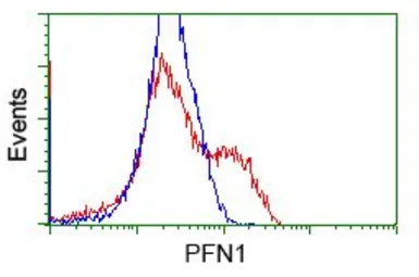 Anti-Profilin 1 antibody [1D5] used in Flow cytometry (FCM). GTX83903