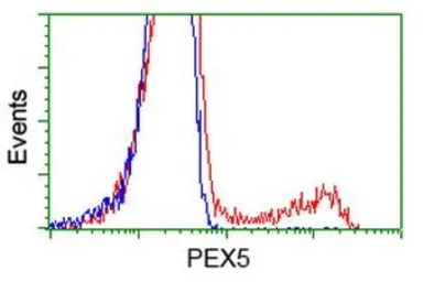 Anti-PEX5 antibody [6E9] used in Flow cytometry (FCM). GTX83905