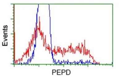Anti-PEPD antibody [1B7] used in Flow cytometry (FCM). GTX83909