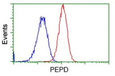 Anti-PEPD antibody [5D5] used in Flow cytometry (FCM). GTX83910