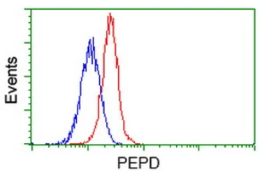 Anti-PEPD antibody [5D5] used in Flow cytometry (FCM). GTX83910