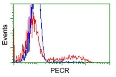Anti-PECR antibody [2B2] used in Flow cytometry (FCM). GTX83913