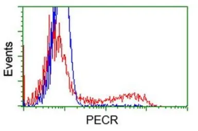 Anti-PECR antibody [1C9] used in Flow cytometry (FCM). GTX83914