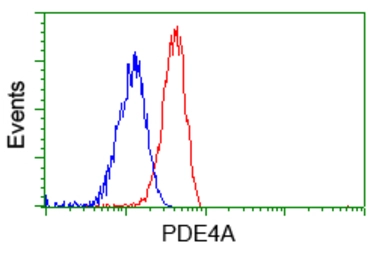 Anti-PDE4A antibody [7B11] used in Flow cytometry (FCM). GTX83922