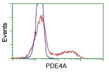 Anti-PDE4A antibody [7B11] used in Flow cytometry (FCM). GTX83922