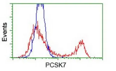 Anti-PCSK7 antibody [1B8] used in Flow cytometry (FCM). GTX83934