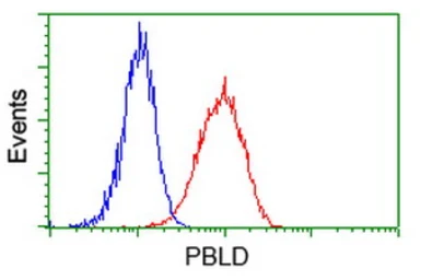 Anti-PBLD antibody [7G5] used in Flow cytometry (FCM). GTX83938