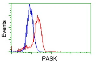 Anti-PASK antibody [8G9] used in Flow cytometry (FCM). GTX83941