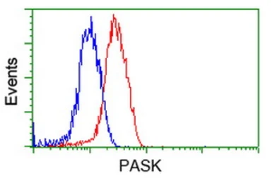 Anti-PASK antibody [8G9] used in Flow cytometry (FCM). GTX83941