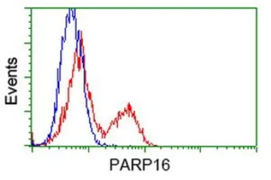 Anti-PARP16 antibody [2C8] used in Flow cytometry (FCM). GTX83943
