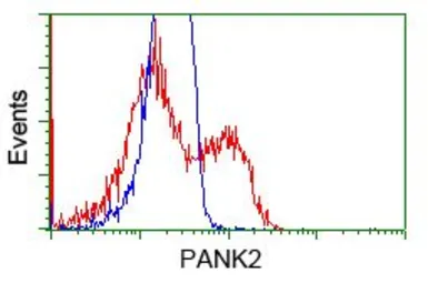 Anti-PANK2 antibody [3H9] used in Flow cytometry (FCM). GTX83944