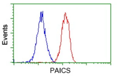 Anti-PAICS antibody [1B4] used in Flow cytometry (FCM). GTX83948