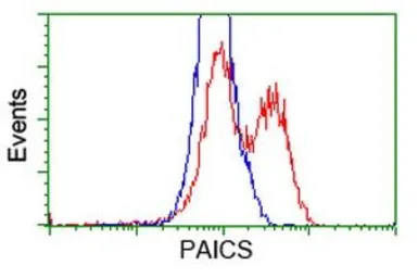 Anti-PAICS antibody [1B4] used in Flow cytometry (FCM). GTX83948