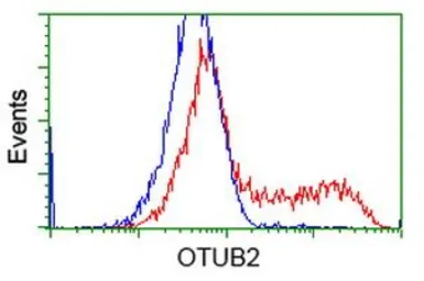 Anti-OTUB2 antibody [11B3] used in Flow cytometry (FCM). GTX83953
